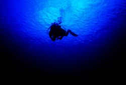 In To The Deep - This was one of the first images I ever ... by Michael Shope 